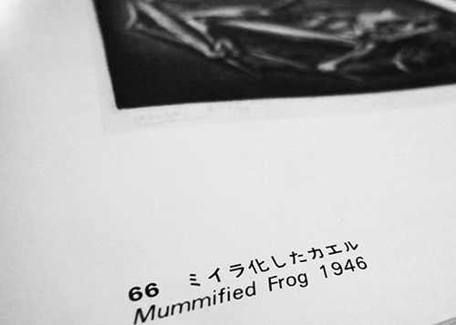 35年も前のエッシャー展とカエルについて Caeru Blog カエルのおへそ