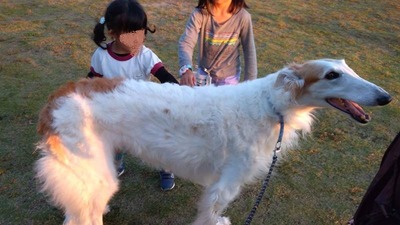 IMG_20201029_163611