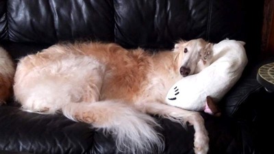 IMG_20200902_134429_2