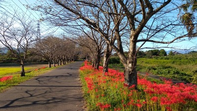 IMG_20201001_153801