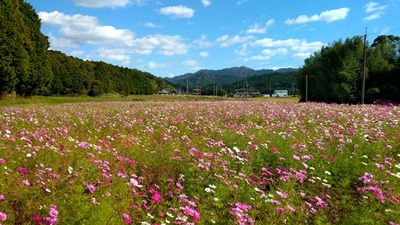 IMG_20201025_131834