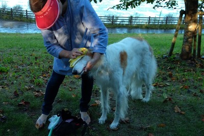 IMG_20201001_161611
