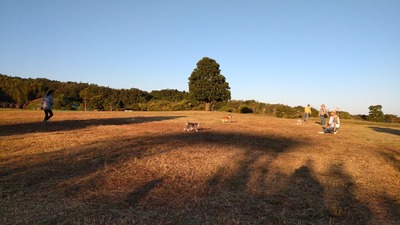 IMG_20201015_163421