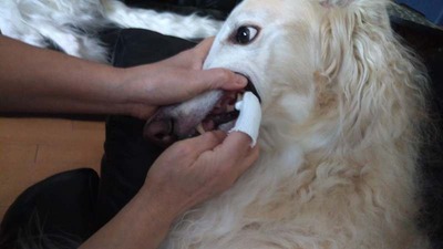 IMG_20200730_165612