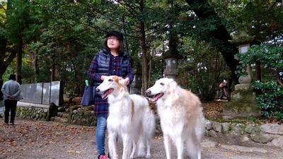 IMG_20201108_123157