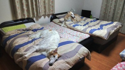 IMG_20200715_213220_HDR