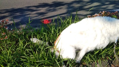IMG_20200927_074214