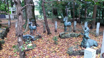 IMG_20201108_123331