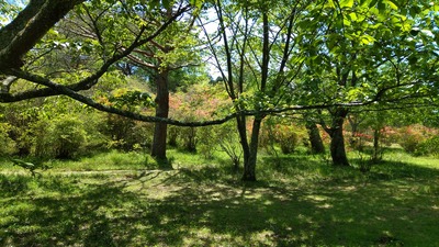 IMG_20210506_113445