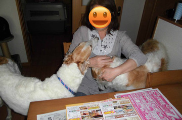 BlogPaint