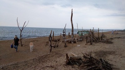 IMG_20201004_163452