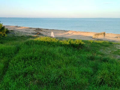 IMG_20200731_182127
