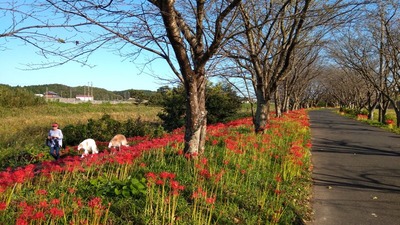 IMG_20201001_153811