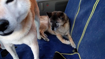 IMG_20201015_170213