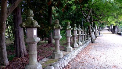 IMG_20201108_122317