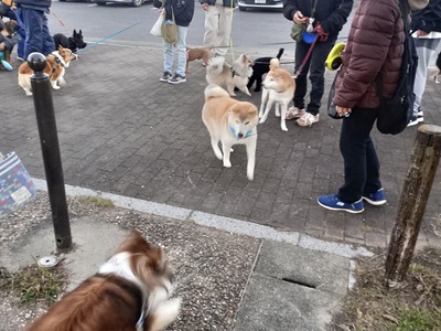 IMG_20251129_164502_HDR