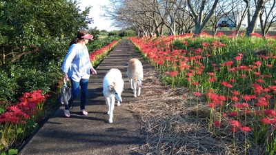 IMG_20201001_153641
