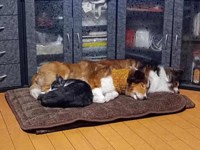 IMG_20251201_203022_SR