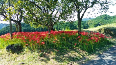 IMG_20200927_142021
