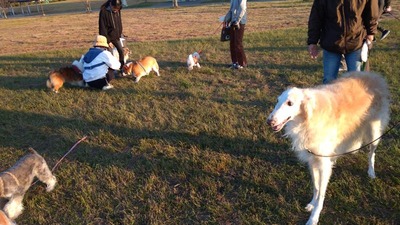 IMG_20201029_162451