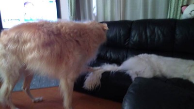 IMG_20200902_080908