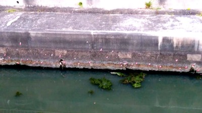 IMG_20200822_180322