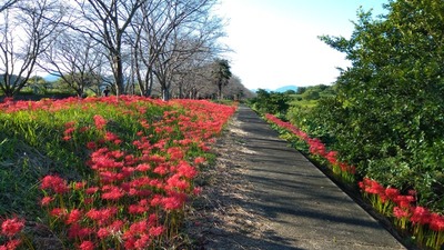 IMG_20201001_153621