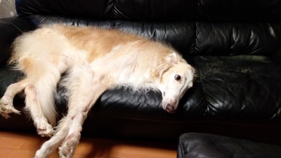 IMG_20200828_202408