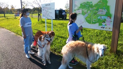 IMG_20200927_152703