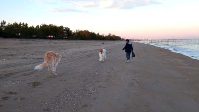 IMG_20201105_164210