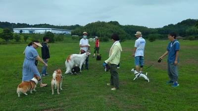 IMG_20200724_162413