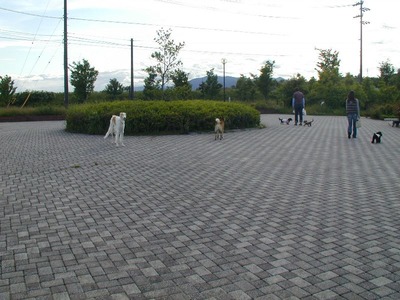 k07-00-0100