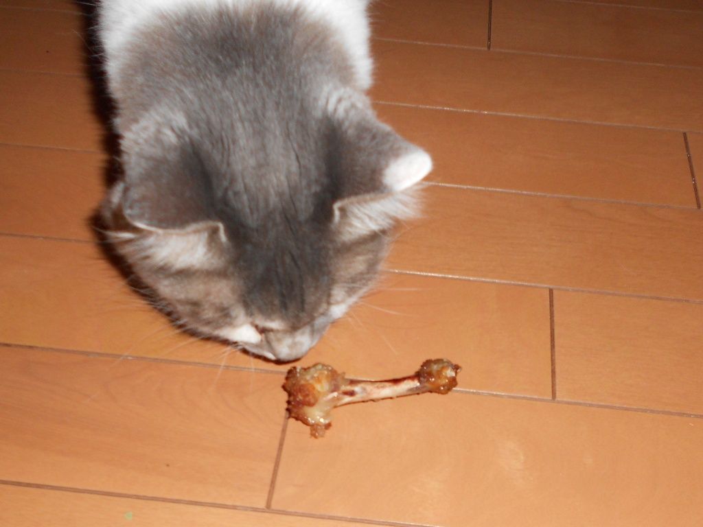 鶏の骨を食べさせてはいけない ボルゾイな生活
