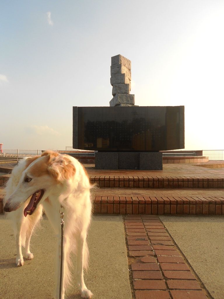 散歩フルコース 犬のふんだめ ボルゾイな生活 散歩フルコース 犬のふんだめ ボルゾイな生活