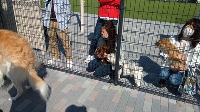 IMG_20201029_111207