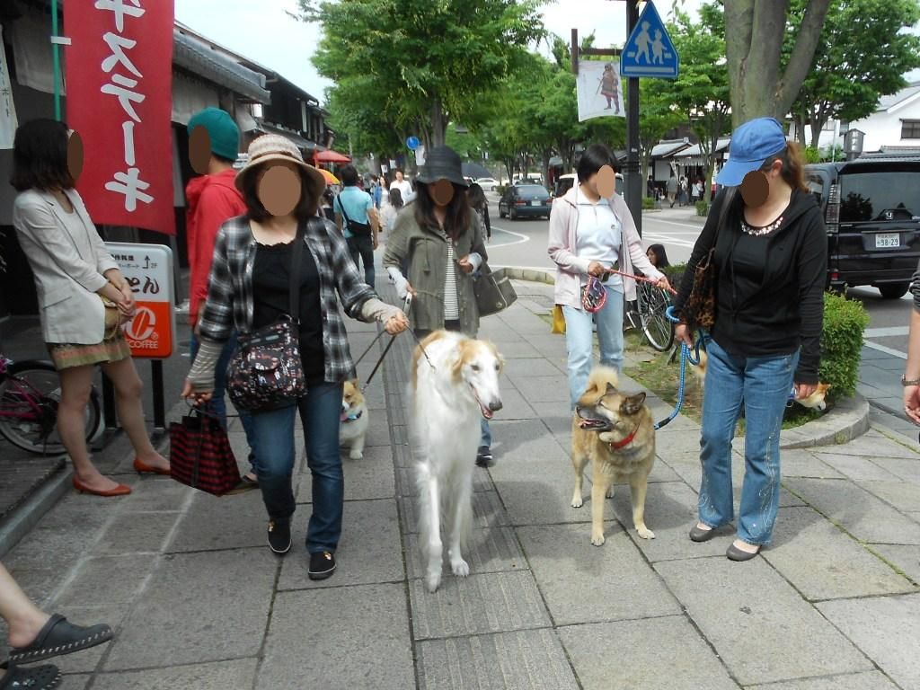 夢京橋キャッスルロード 滋賀県彦根市 ボルゾイな生活