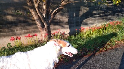 IMG_20200928_065610