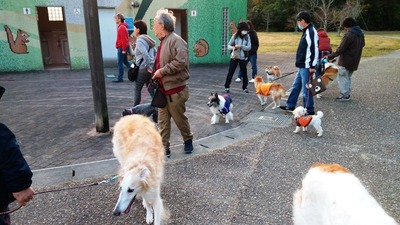 IMG_20201108_163041