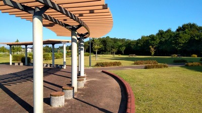 IMG_20200816_072129