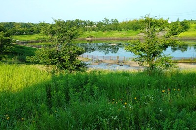 IMG_20200719_170745