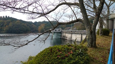 IMG_20201108_124724