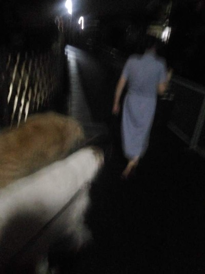 P_20190827_201808