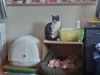 IMG_20251209_091613_HDR