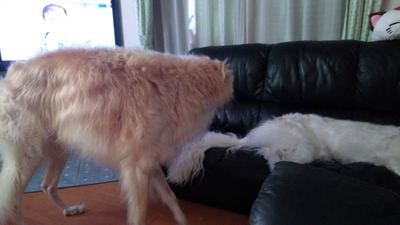 IMG_20200902_080906
