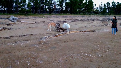 IMG_20201004_163943