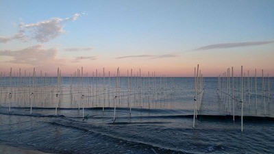 IMG_20201105_164249