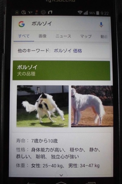 CIMG0985
