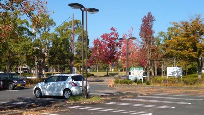 IMG_20201029_102732