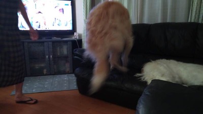 IMG_20200902_080945