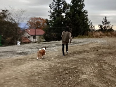 IMG_20251213_162906_HDR